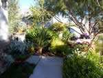 Las Vegas Landscape Design
